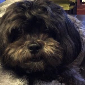 Meet your Posher, Wendy